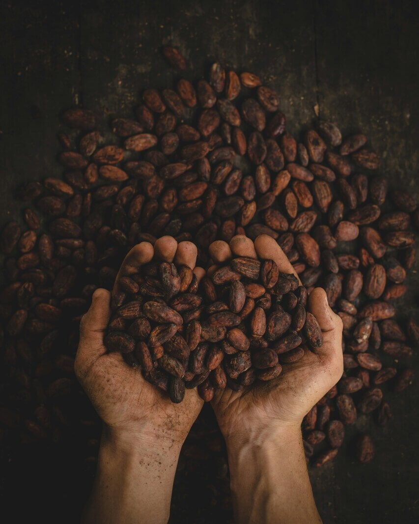 Pâques en chocolat!! : nos nouvelles créations